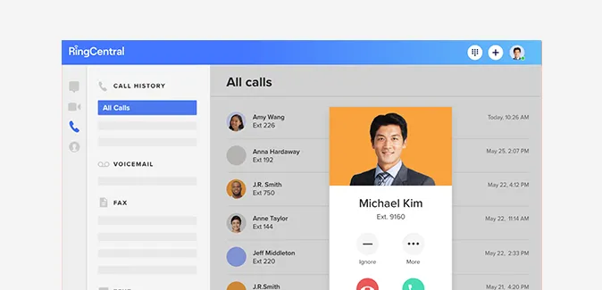 Video Meeting Basics