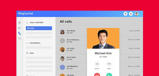 Video Meeting Basics